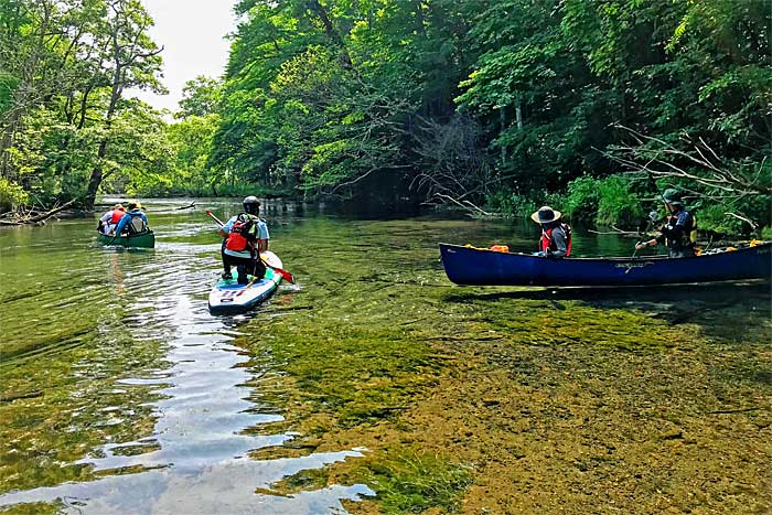 釧路川源流部の川下り 鏡の間