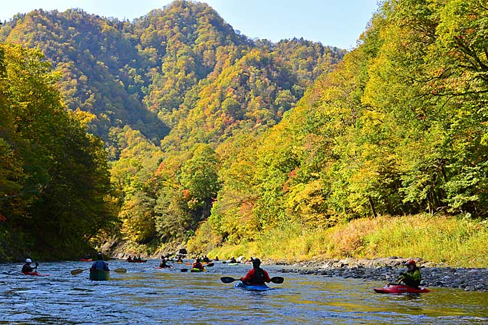 沙流川の川下り