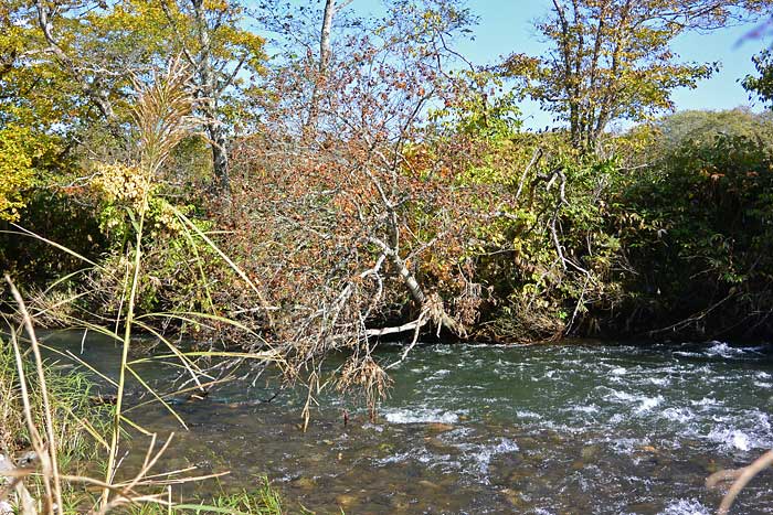 後志利別川の川下り