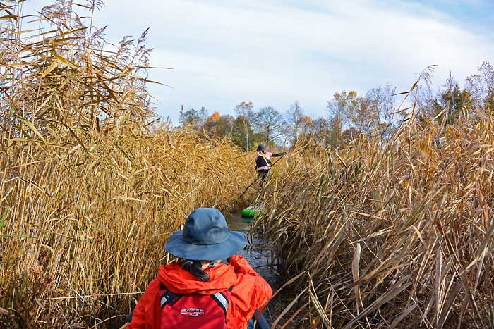 パンケナイ川の川下り