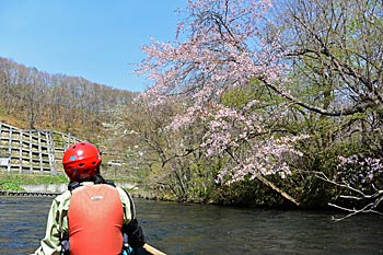 千歳川