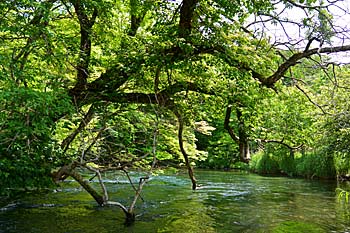 千歳川