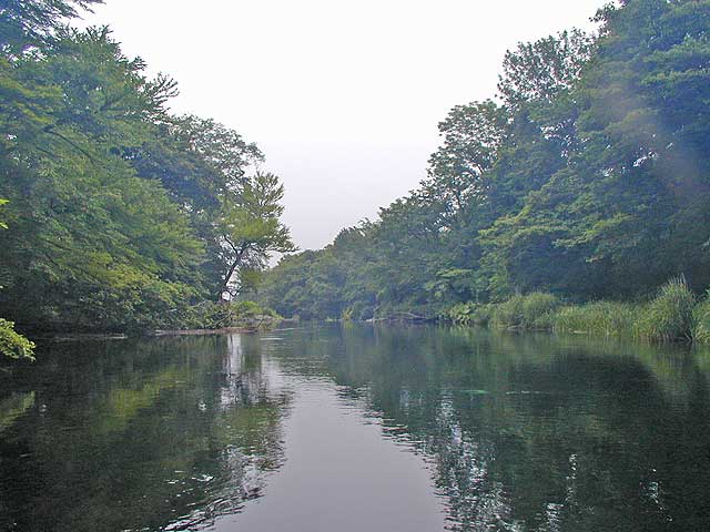 ֘UO