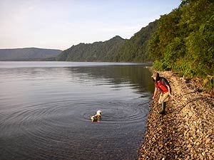 日の当たる岸辺で
