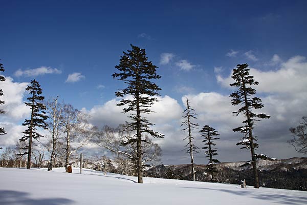 丘の風景