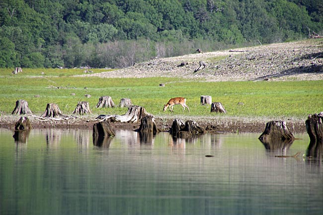 糠平湖