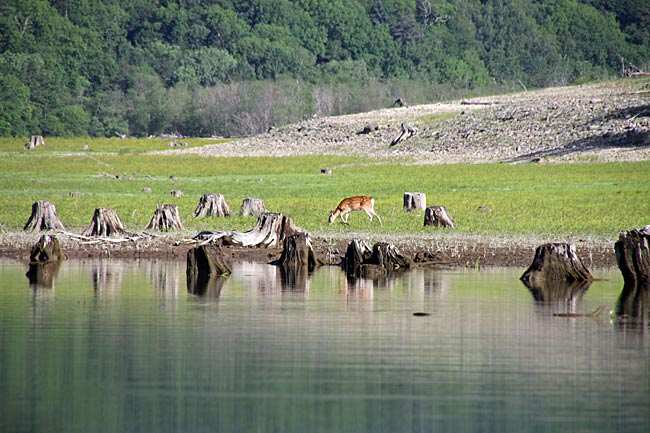 糠平湖