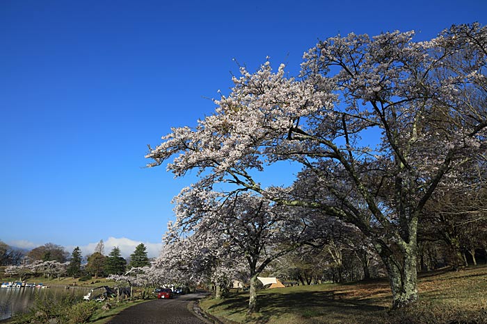 志高湖キャンプ場