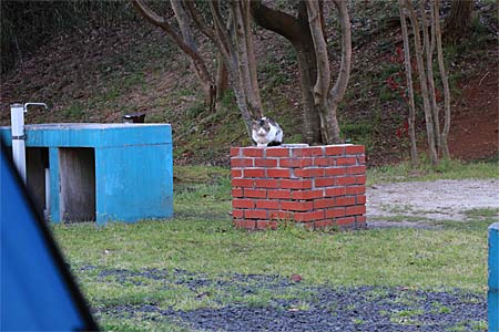 宍道ふるさと森林公園キャンプ場