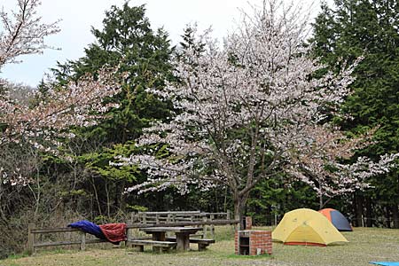 南部森林公園キャンプ場