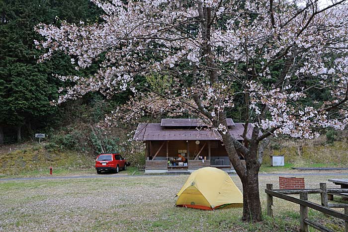 南部森林公園キャンプ場