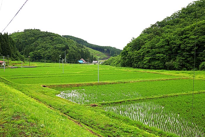 衣川ふるさと自然塾