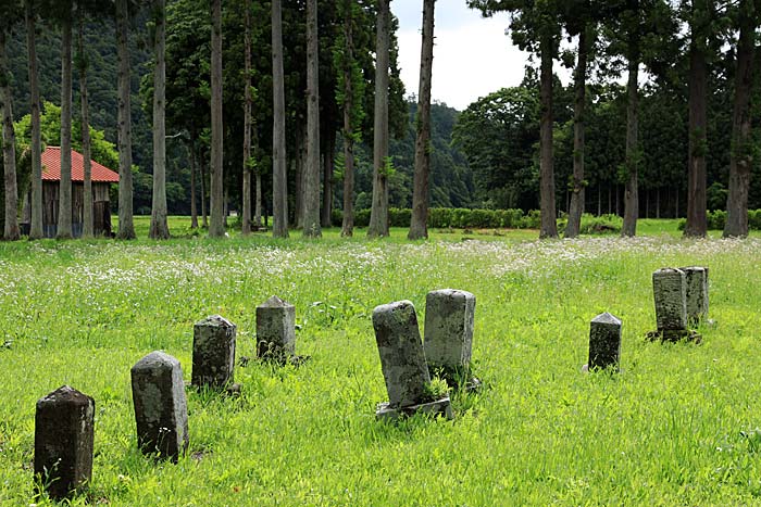 骨寺村荘園遺跡