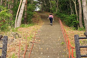 アンモ浦展望台