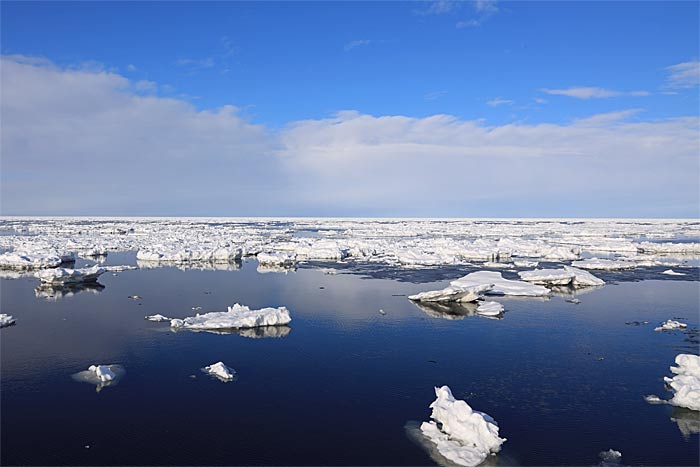 流氷