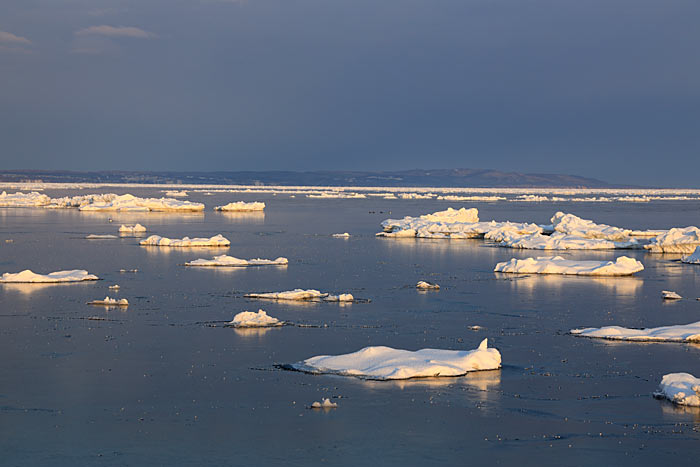 流氷