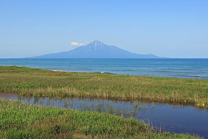 コウホネ沼