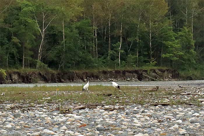 歴舟川の川旅