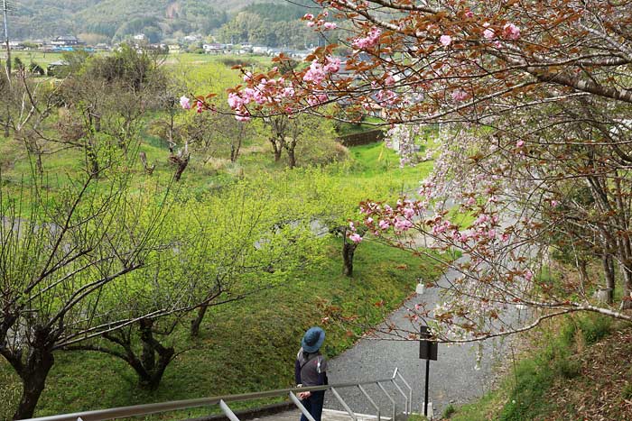 岩屋熊野座神社