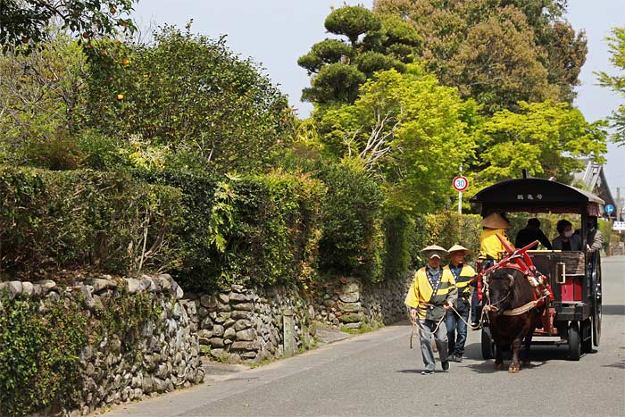 出水麓武家屋敷群 観光牛車