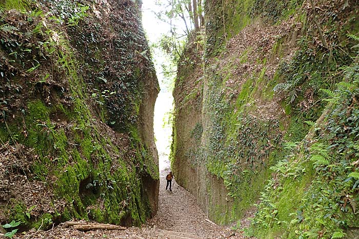 清色城跡