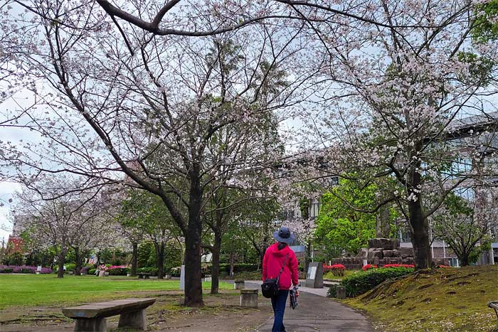 鹿児島市県政記念公園