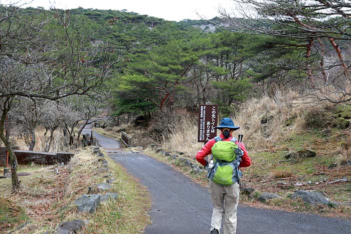 えびの高原池巡りコース