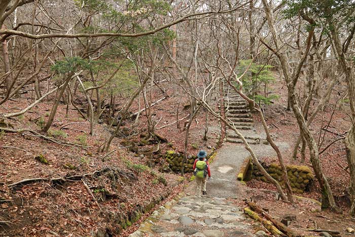 えびの高原池巡りコース