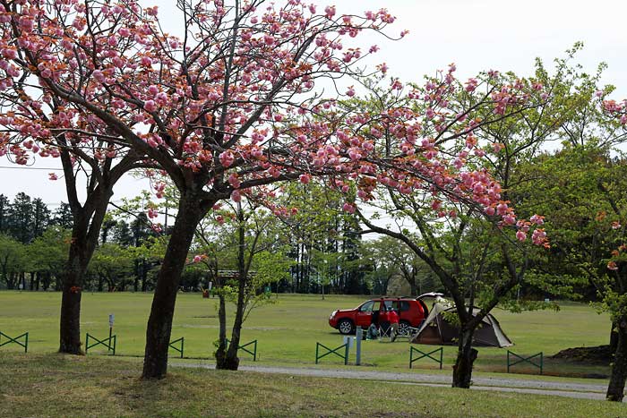 霧島高原国民休養地キャンプ場