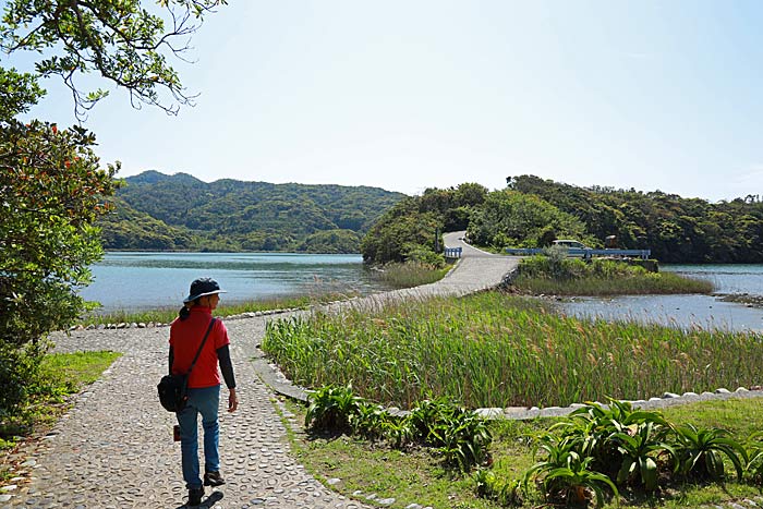 なまこ池と貝池