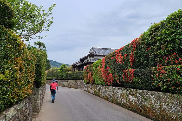 知覧武家屋敷群