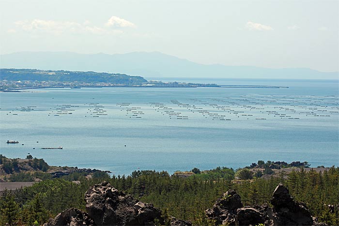 有村溶岩展望所