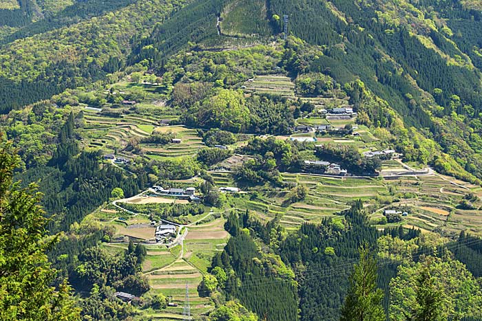 仙人の棚田