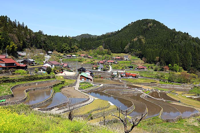 井仁の棚田