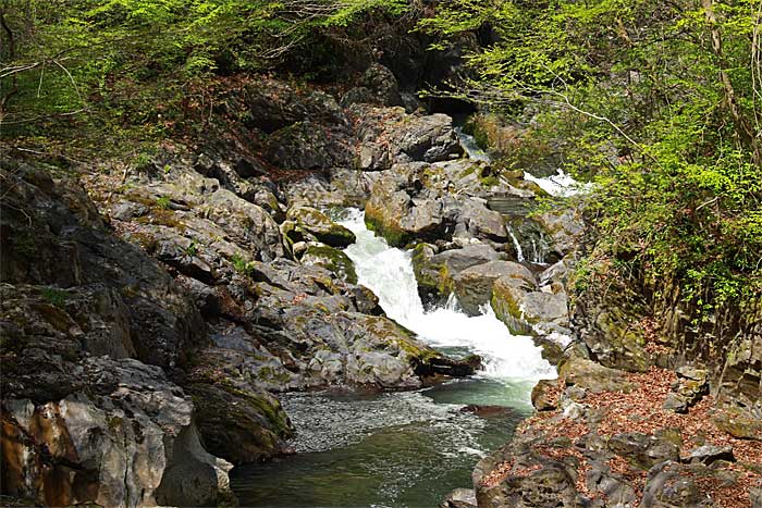 帝釈峡断魚渓