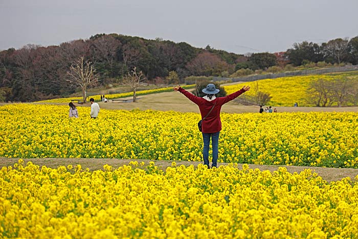 あわじ花さじき