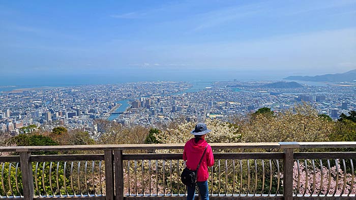 眉山ロープウェイ山頂展望台からの展望