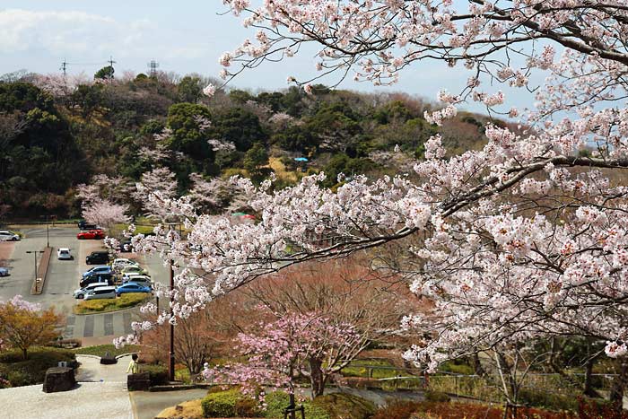 眉山公園