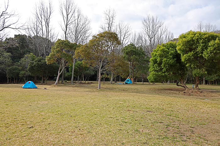 田の浦野営場