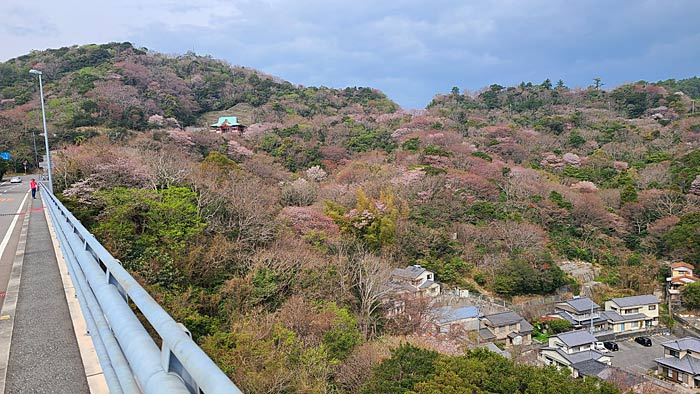 小鳴門新橋