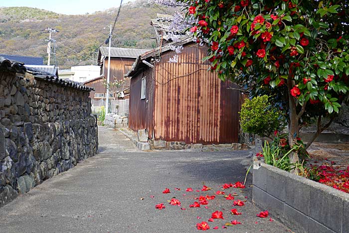 女木島