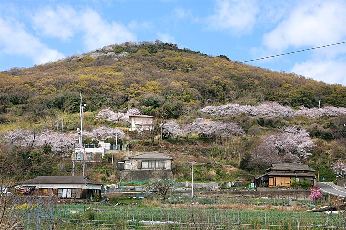 女木島