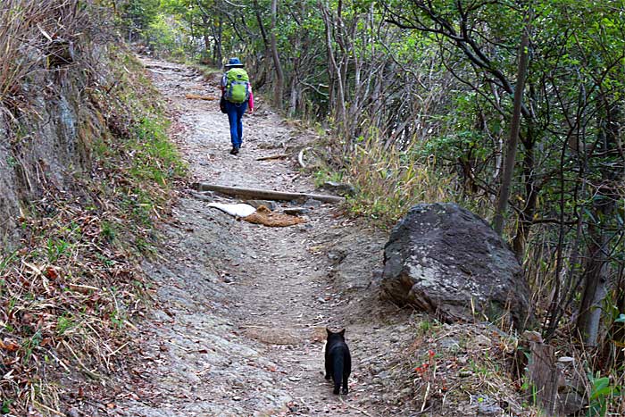 飯野山