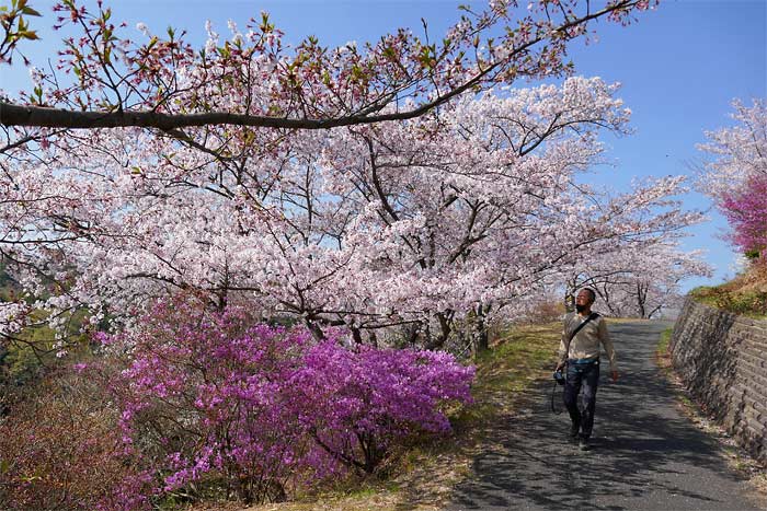 開山公園