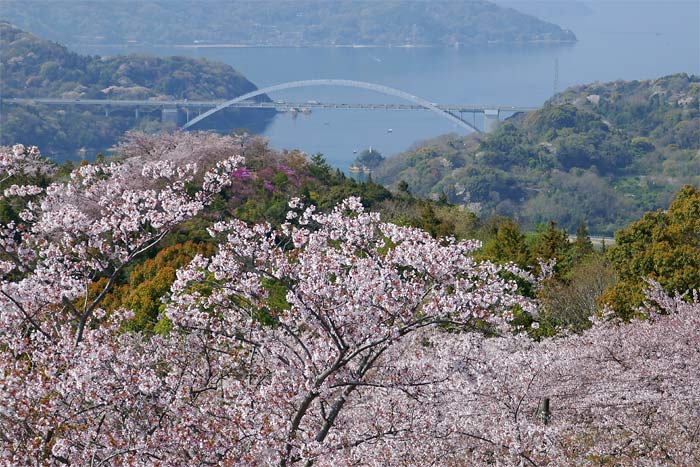 開山公園