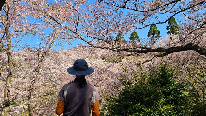 開山公園