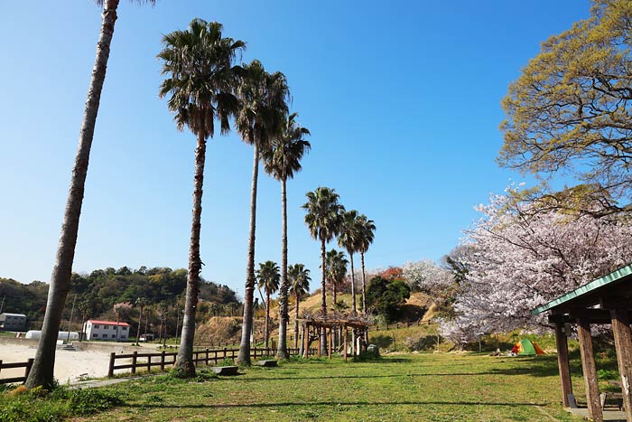 大角海浜公園かれい広場キャンプ場