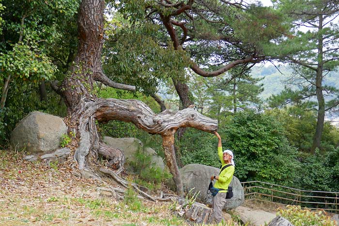 千光寺公園