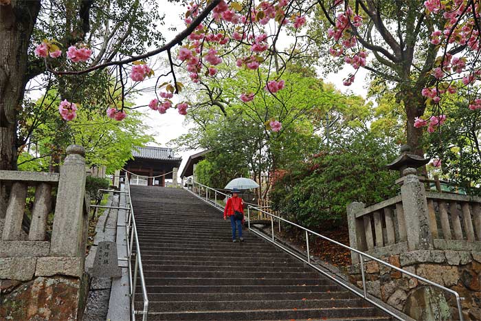 阿智神社