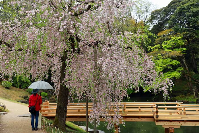 岡山後楽園